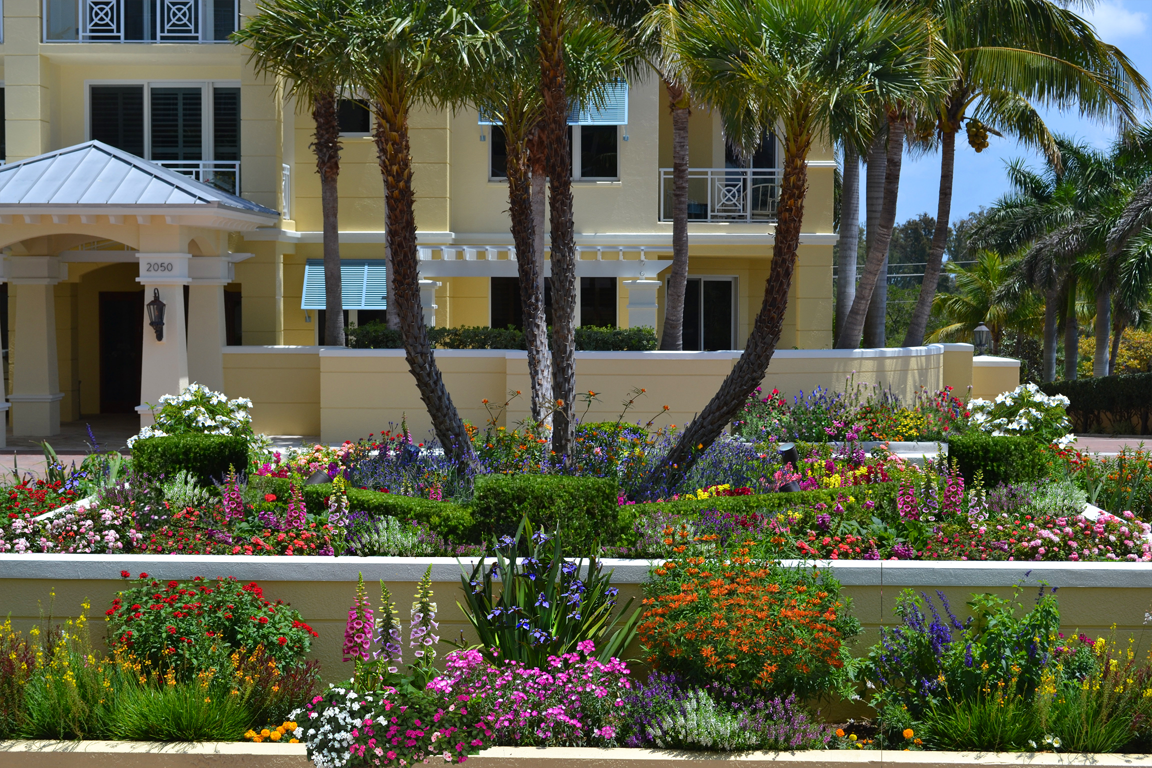 mark steinberg perennials