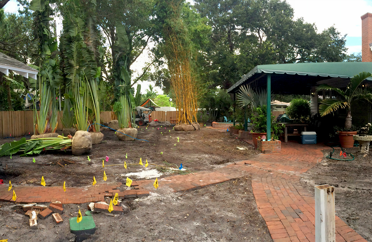 before perennial garden