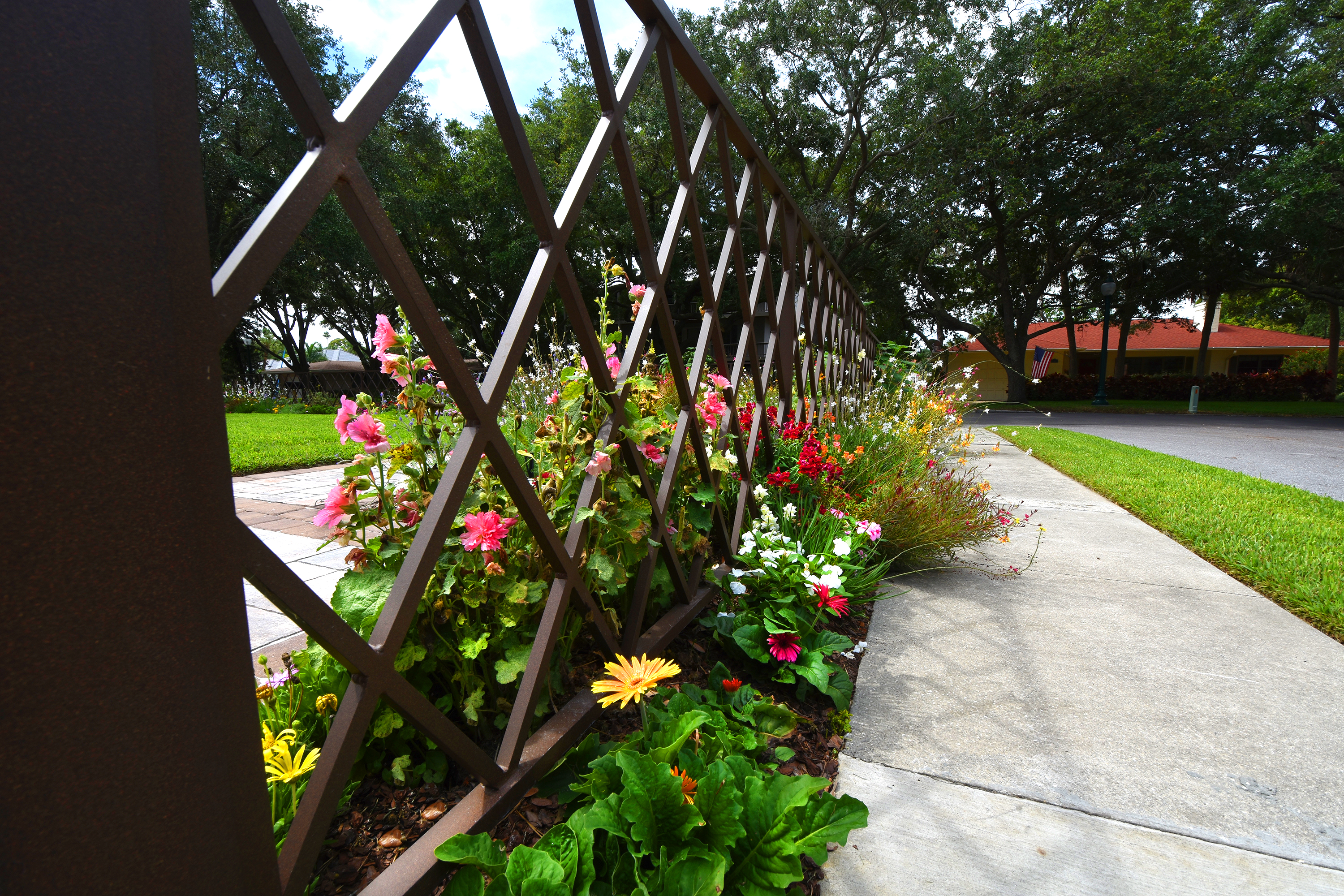 mark steinberg fence