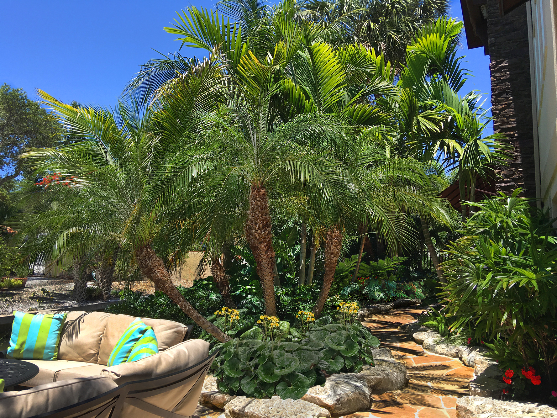 mark steinberg rock botanical solutions