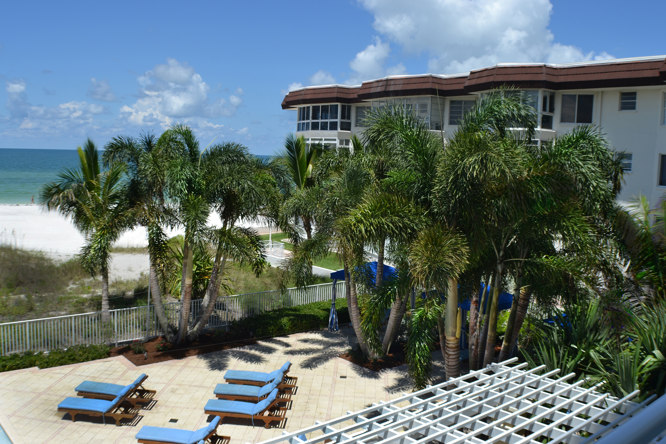 mark steinberg palms