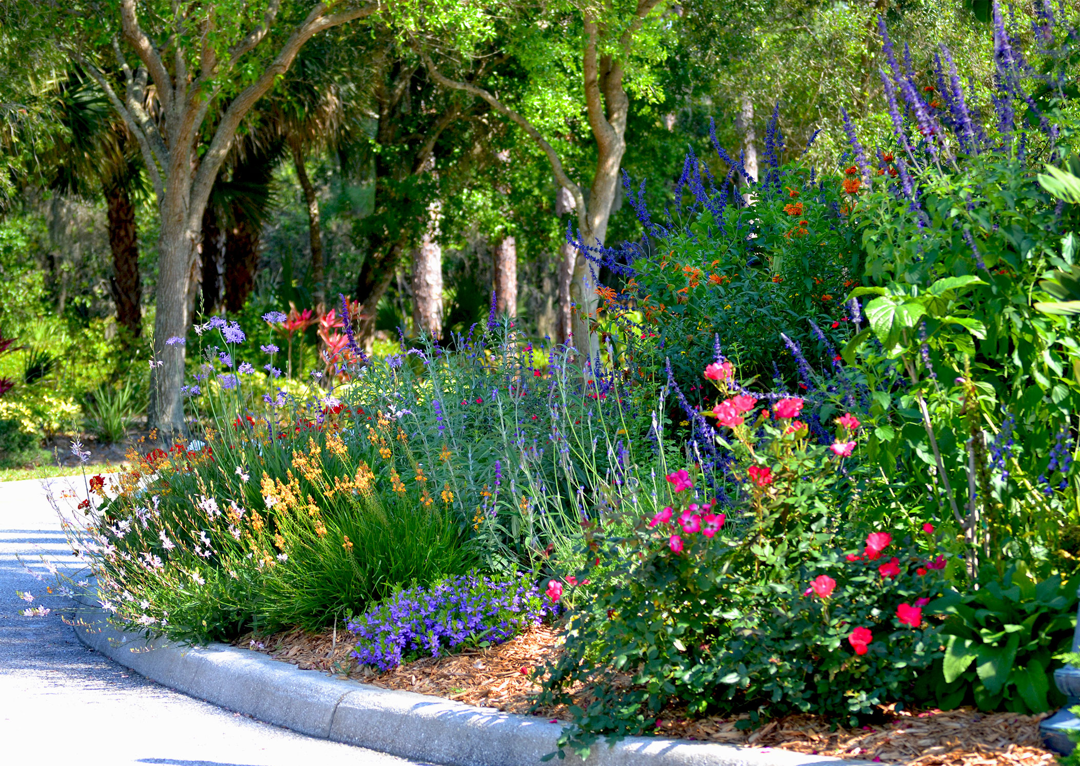 perennial garden