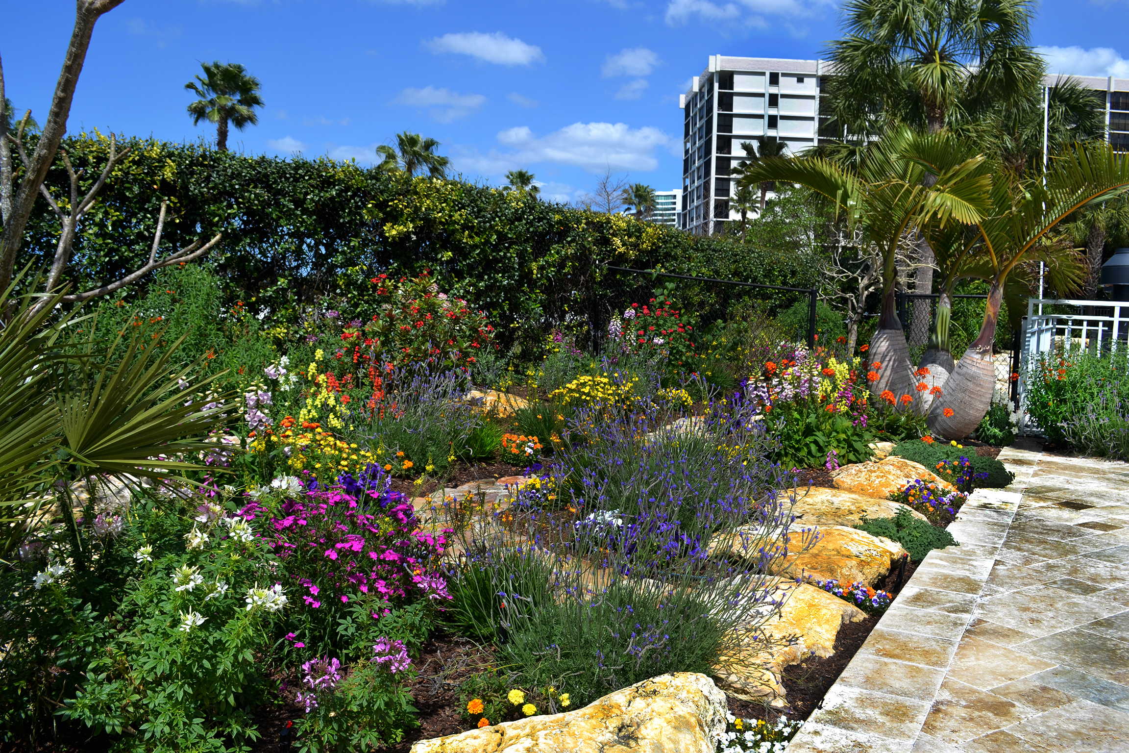 mark steinberg perennials