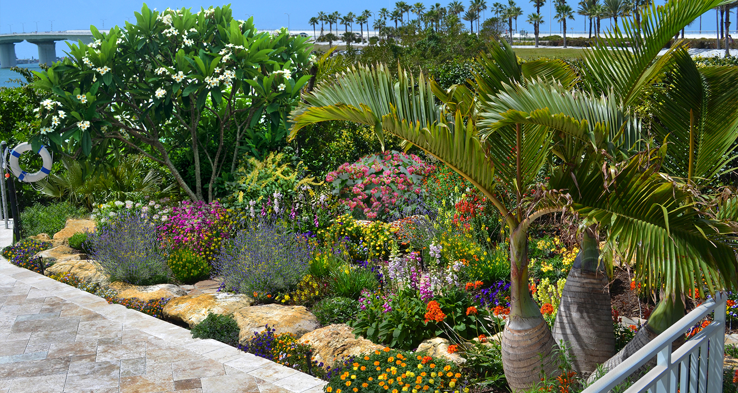 perennial garden