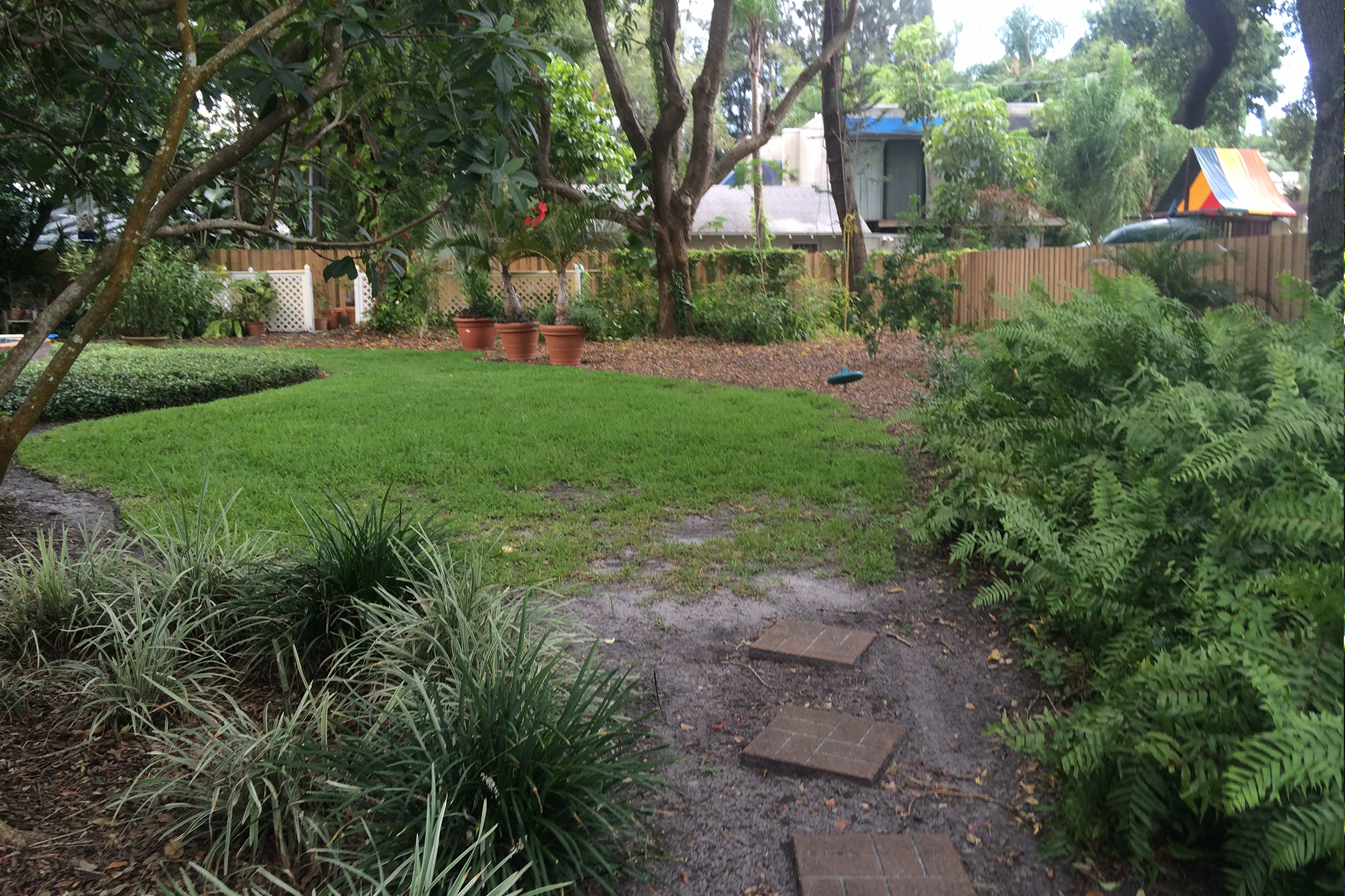 before perennial garden