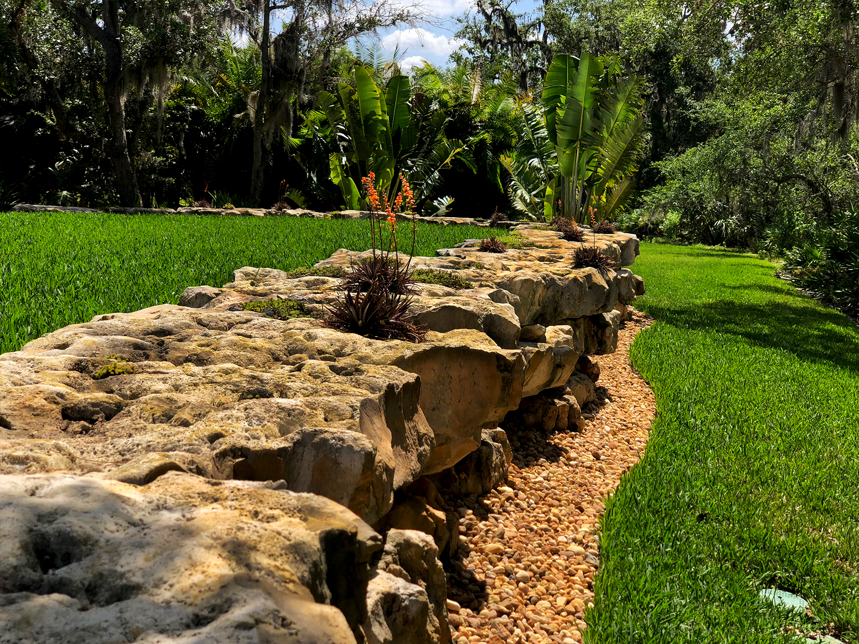 rock wall boulder mark steinberg botanical solutions